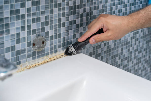 Certified Mold Removal in Waverly, NE